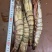活冻黑虎大虾3/4只一斤全国各地可发货