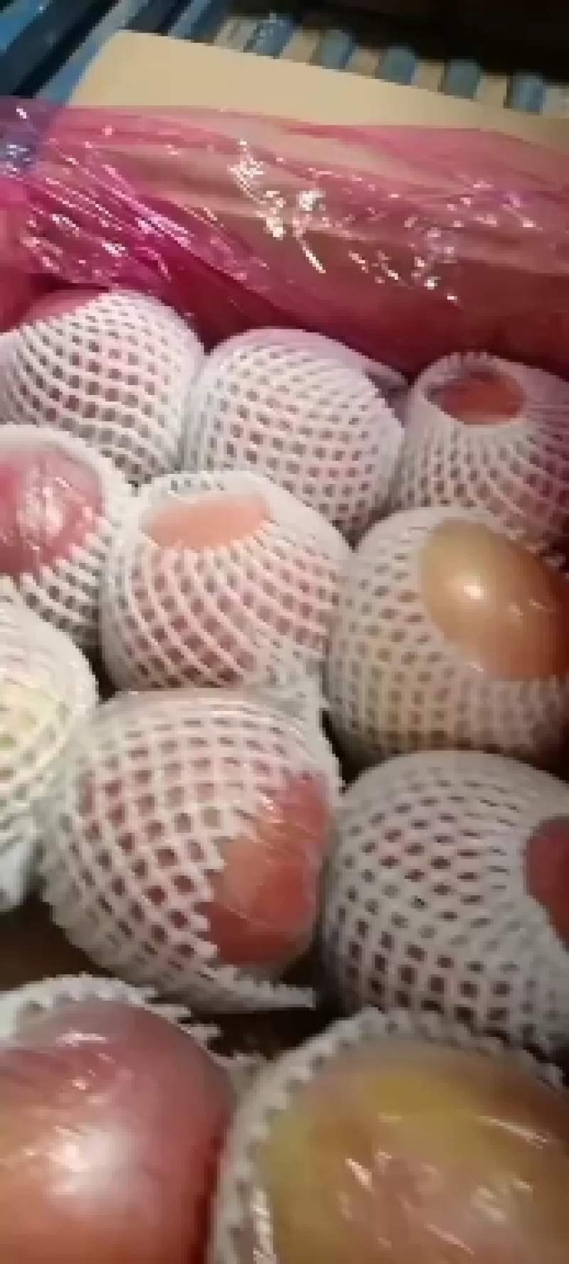 六一临近萍果还是没有涨钱