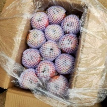 六一临近萍果还是没有涨钱