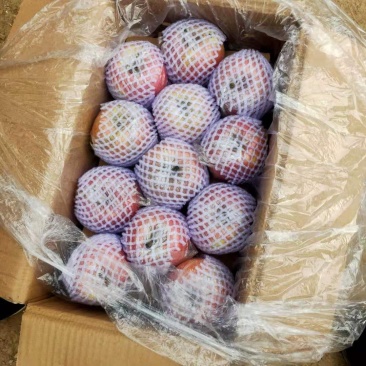 六一临近萍果还是没有涨钱
