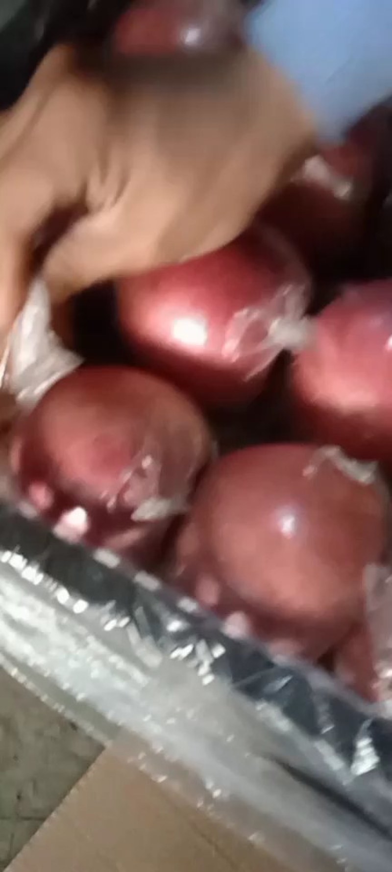六一临近萍果还是没有涨钱