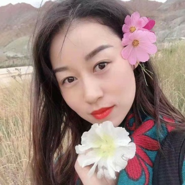 黄心白菜一手货源保质保量欢迎:咨询订购