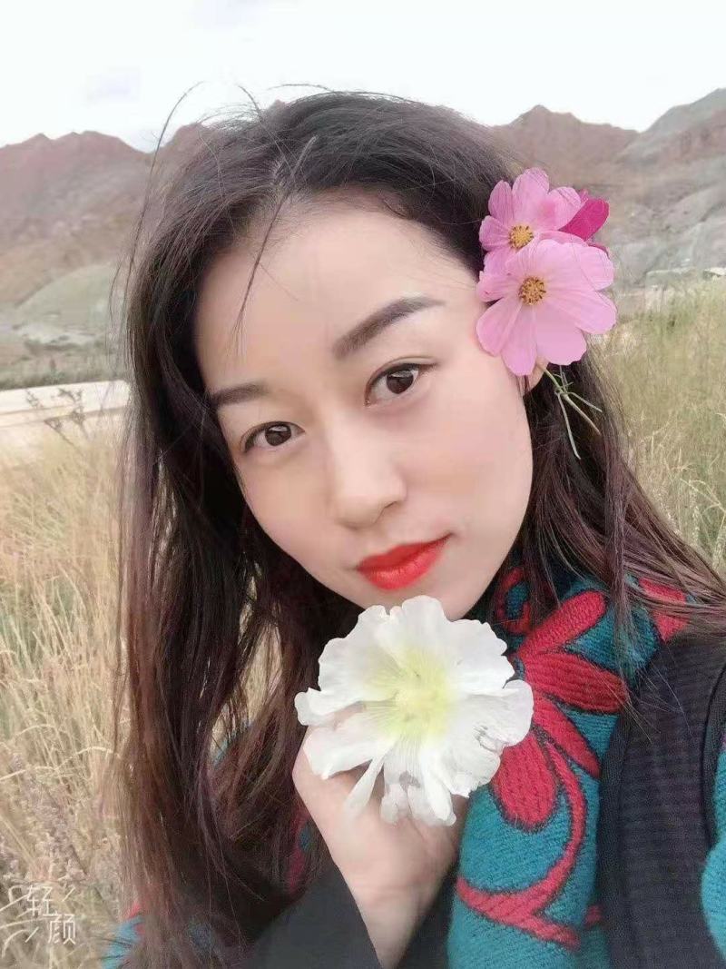 黄心白菜一手货源保质保量欢迎:咨询订购