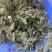薄荷叶干薄荷叶薄荷茶货品质量保证批发各种中药材
