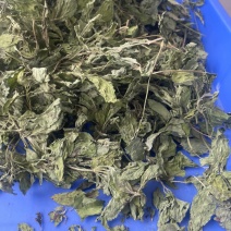 薄荷叶干薄荷叶薄荷茶货品质量保证批发各种中药材
