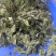 薄荷叶干薄荷叶薄荷茶货品质量保证批发各种中药材