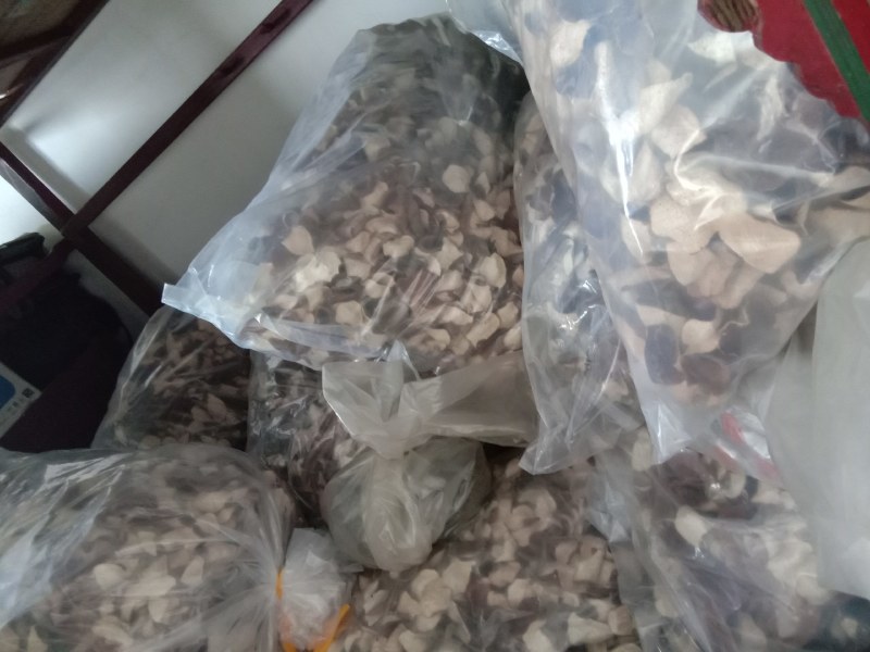 陈皮