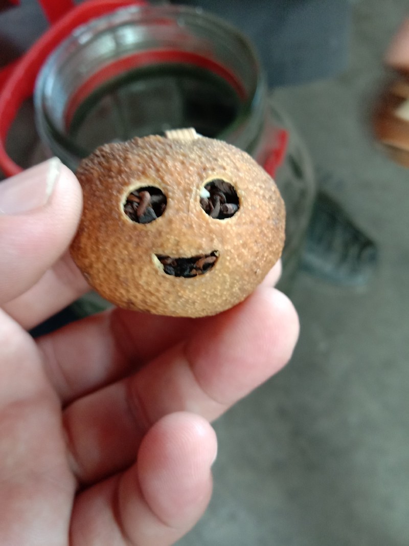 陈皮
