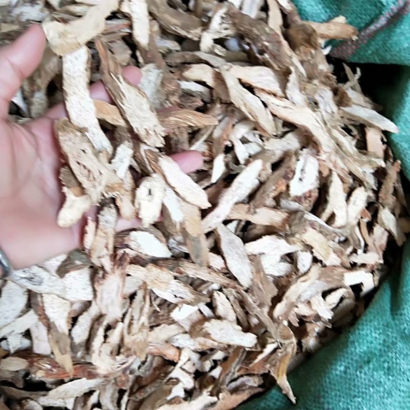 药材千年健货品质量保证批发各种中药材