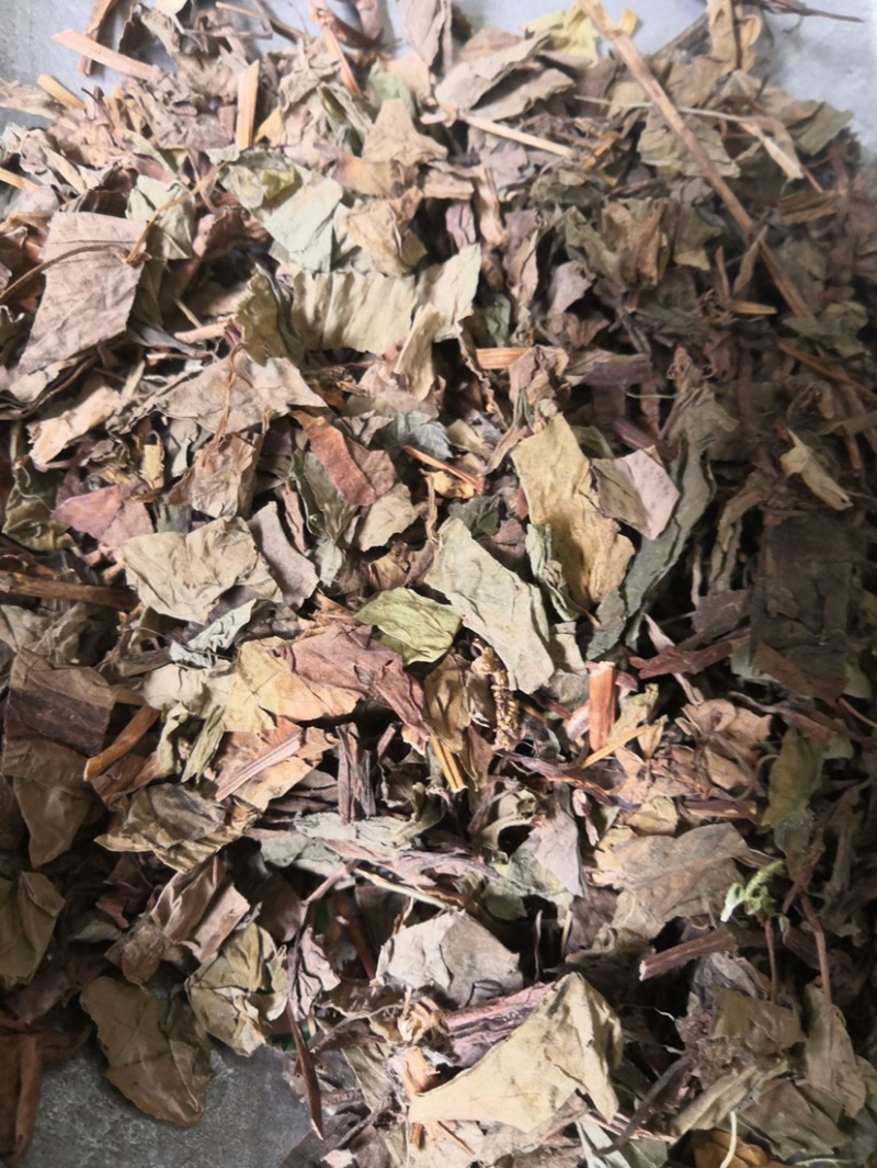 药材鱼腥草干鱼腥草货品质量保证批发中药材