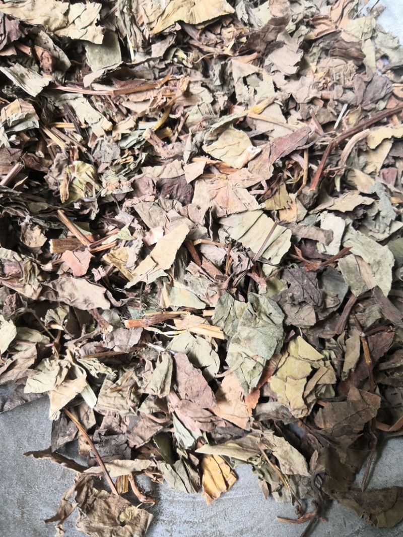 药材鱼腥草干鱼腥草货品质量保证批发中药材