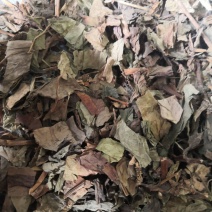 药材鱼腥草干鱼腥草货品质量保证批发中药材