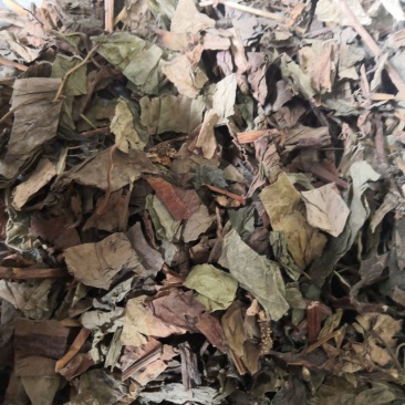 药材鱼腥草干鱼腥草货品质量保证批发中药材