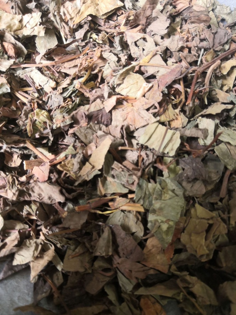 药材鱼腥草干鱼腥草货品质量保证批发中药材