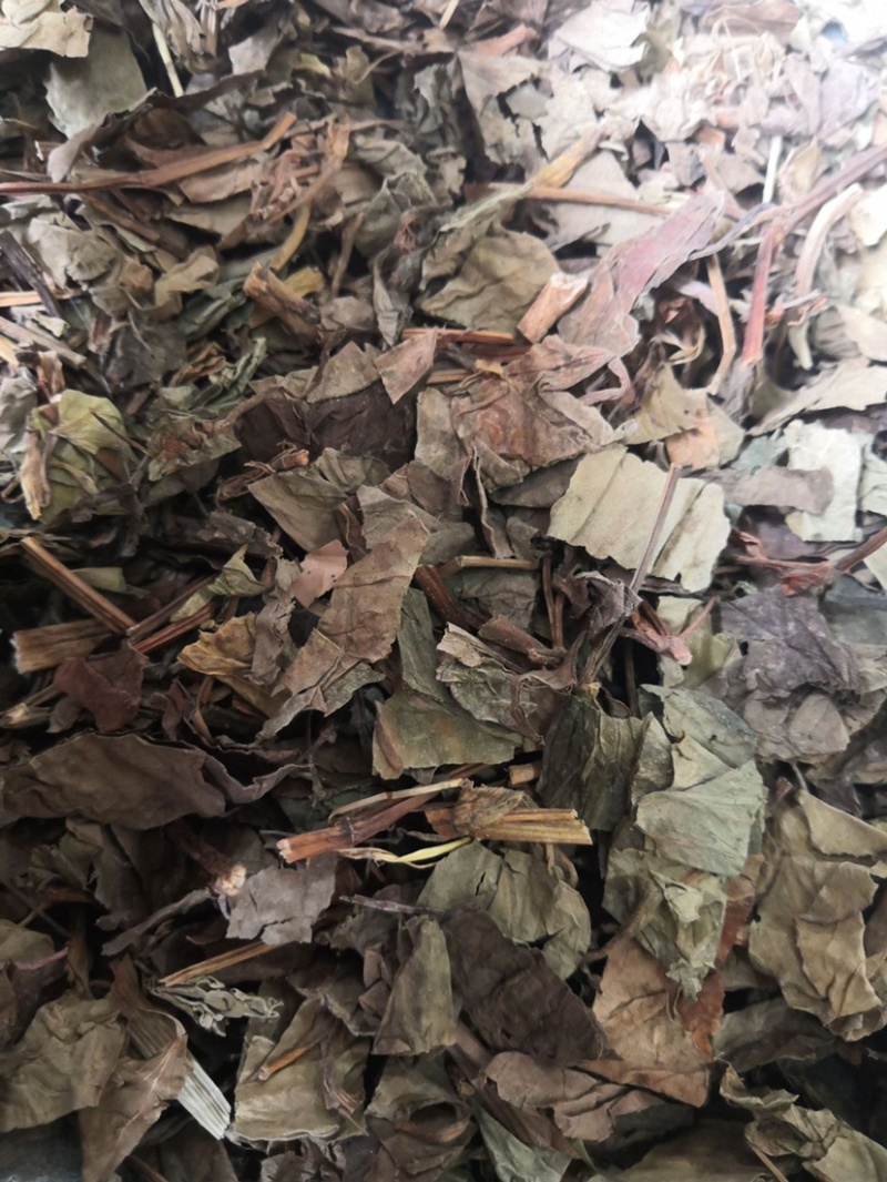 药材鱼腥草干鱼腥草货品质量保证批发中药材