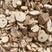 意和堂中药材木通货品质量保证批发各种中药材