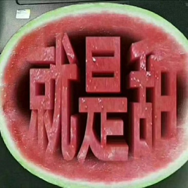 万亩大棚西瓜大量上市熟度高皮毛漂亮甜度高八斤打底