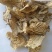 中药材商陆山萝卜货品质量保证批发各种中药材