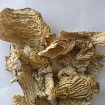 中药材商陆山萝卜货品质量保证批发各种中药材