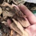 中药材苎麻根宣麻根货品质量保证批发各种中药材
