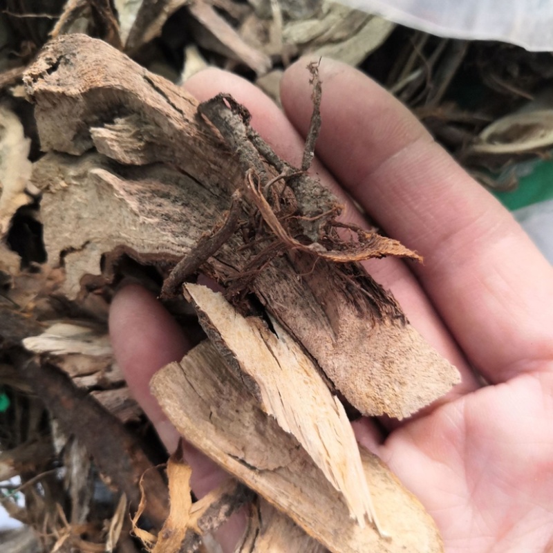 中药材苎麻根宣麻根货品质量保证批发各种中药材