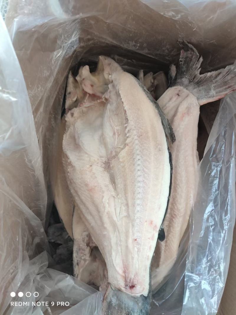 巴沙鱼开背巴沙鱼开背鱼