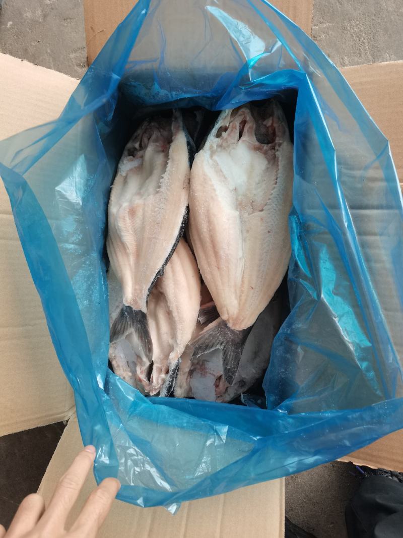 巴沙鱼开背巴沙鱼开背鱼