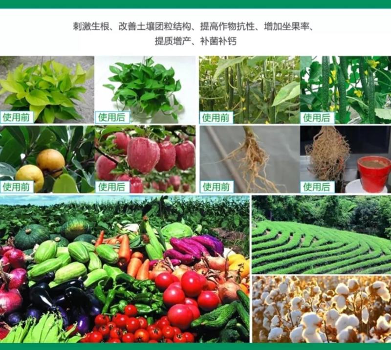 多肽氮肥叶面肥氮钾肥水溶肥小麦水稻玉米花肥高氮肥缓释液态