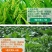 多肽氮肥叶面肥氮钾肥水溶肥小麦水稻玉米花肥高氮肥缓释液态