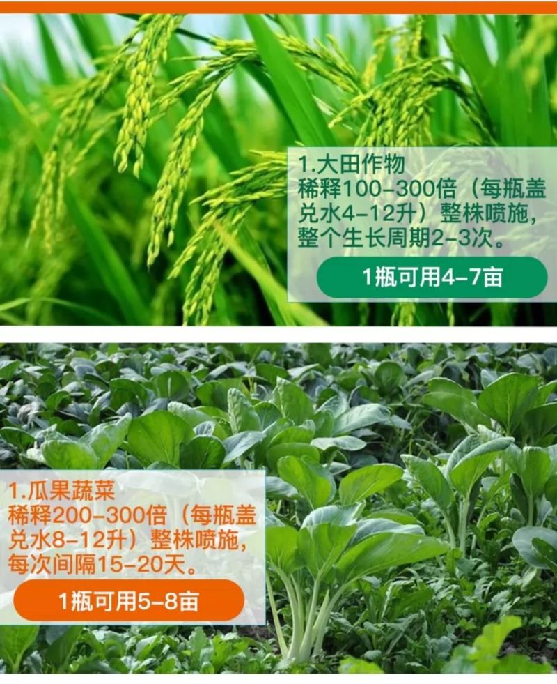 多肽氮肥叶面肥氮钾肥水溶肥小麦水稻玉米花肥高氮肥缓释液态