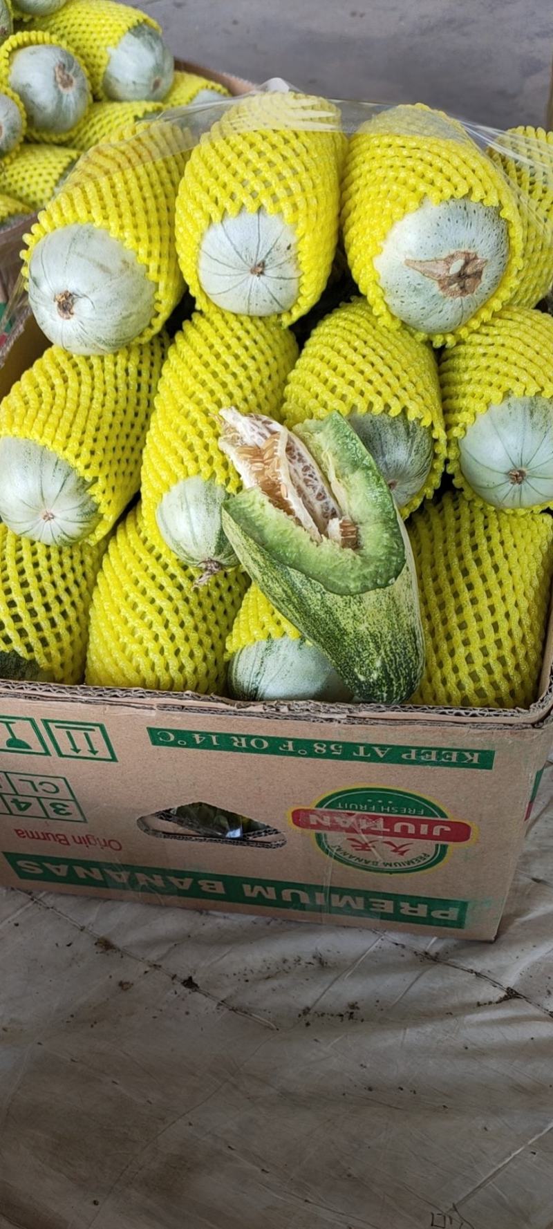 【优】羊角蜜头茬长丰县拐集瓜果市场货源充足量大从优