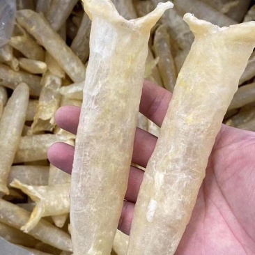 花胶沙巴花胶足干25头1斤批发价