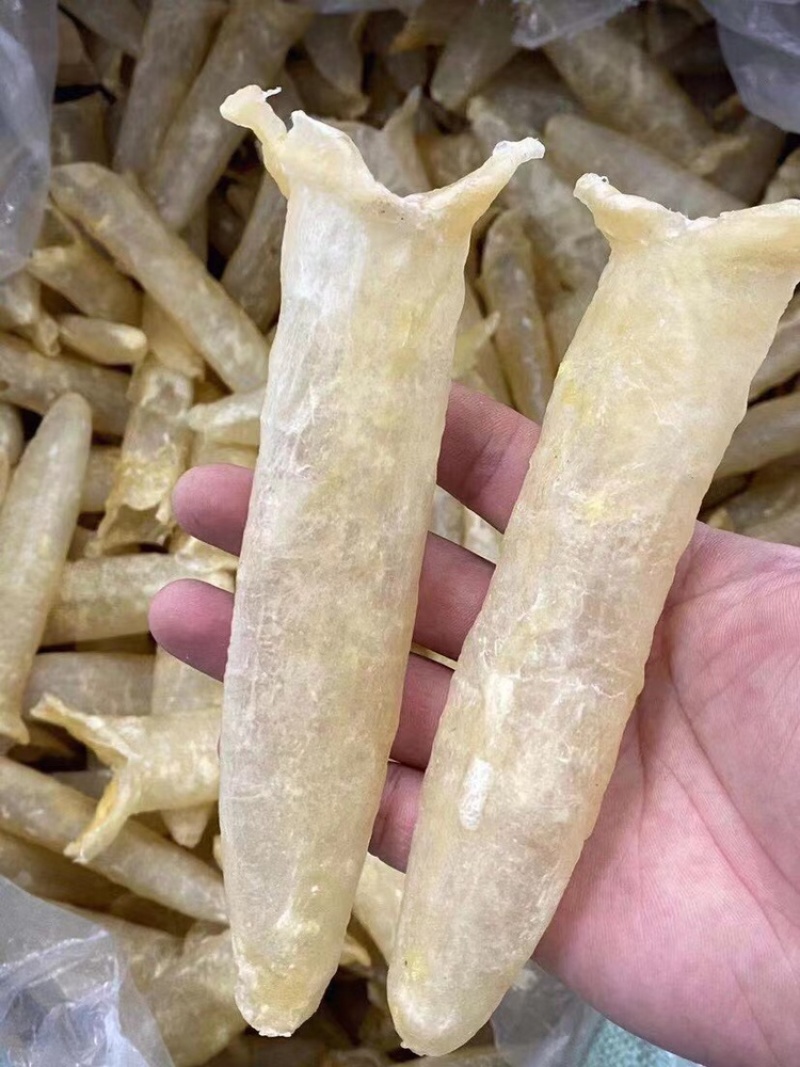 花胶沙巴花胶足干25头1斤批发价