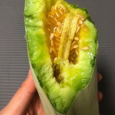 金典甜瓜(香瓜)沙地甜瓜产区货源精品甜瓜品种齐全