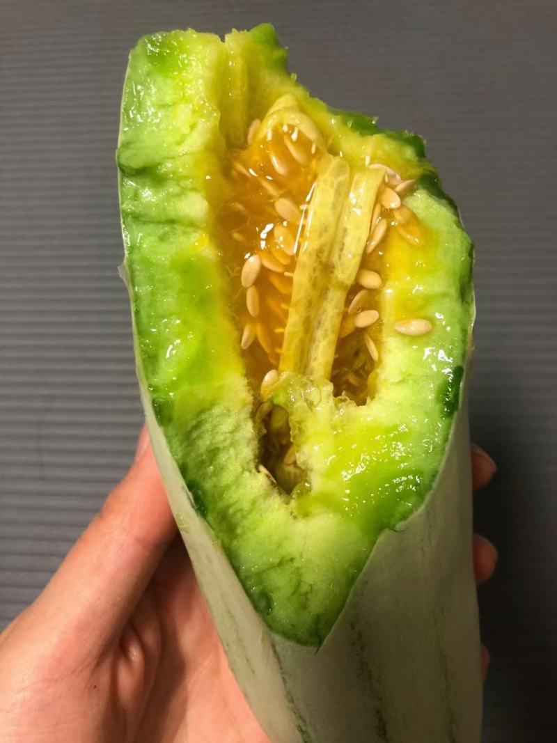 金典甜瓜(香瓜)沙地甜瓜产区货源精品甜瓜品种齐全