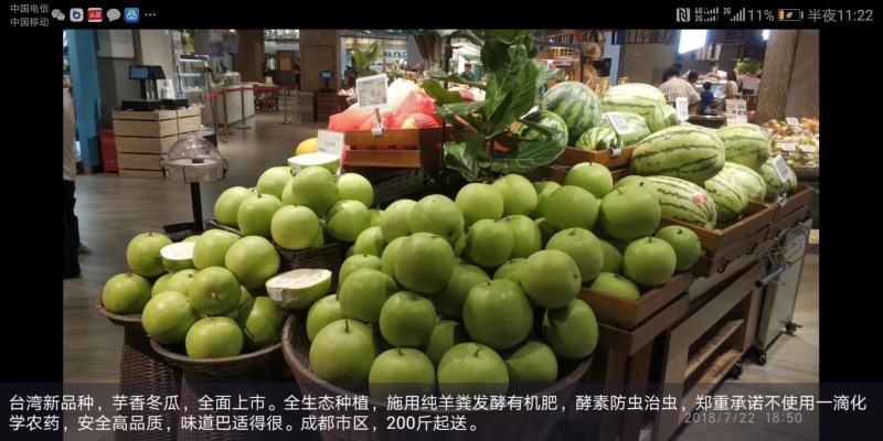 香芋冬瓜，芋香冬瓜，芋头冬瓜，新品种，可以生吃的冬瓜