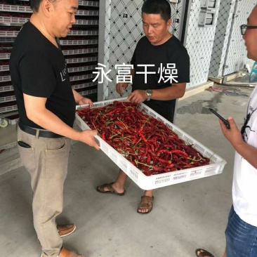 辣椒烘干房，辣椒烘干机，辣椒烘干箱，辣椒烘干设备，烤房