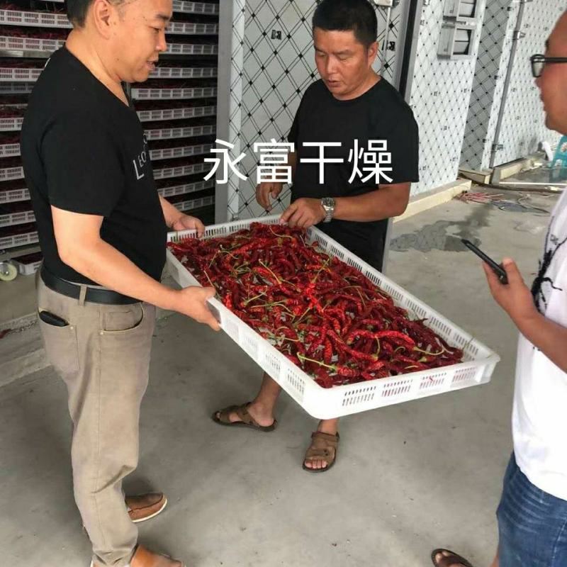 辣椒烘干房，辣椒烘干机，辣椒烘干箱，辣椒烘干设备，烤房