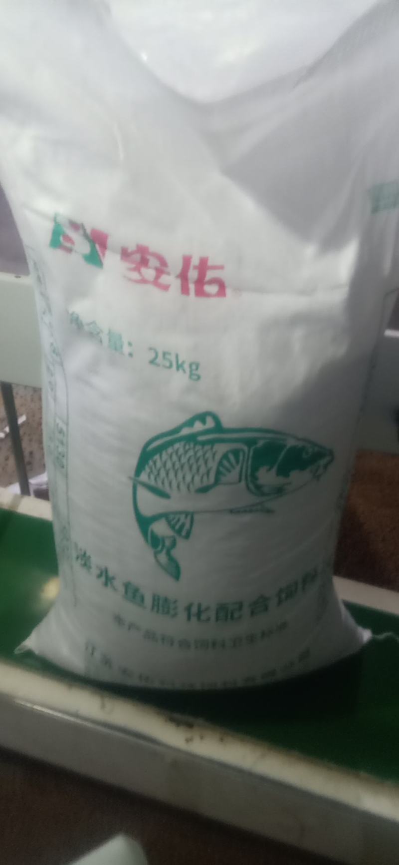 饲料