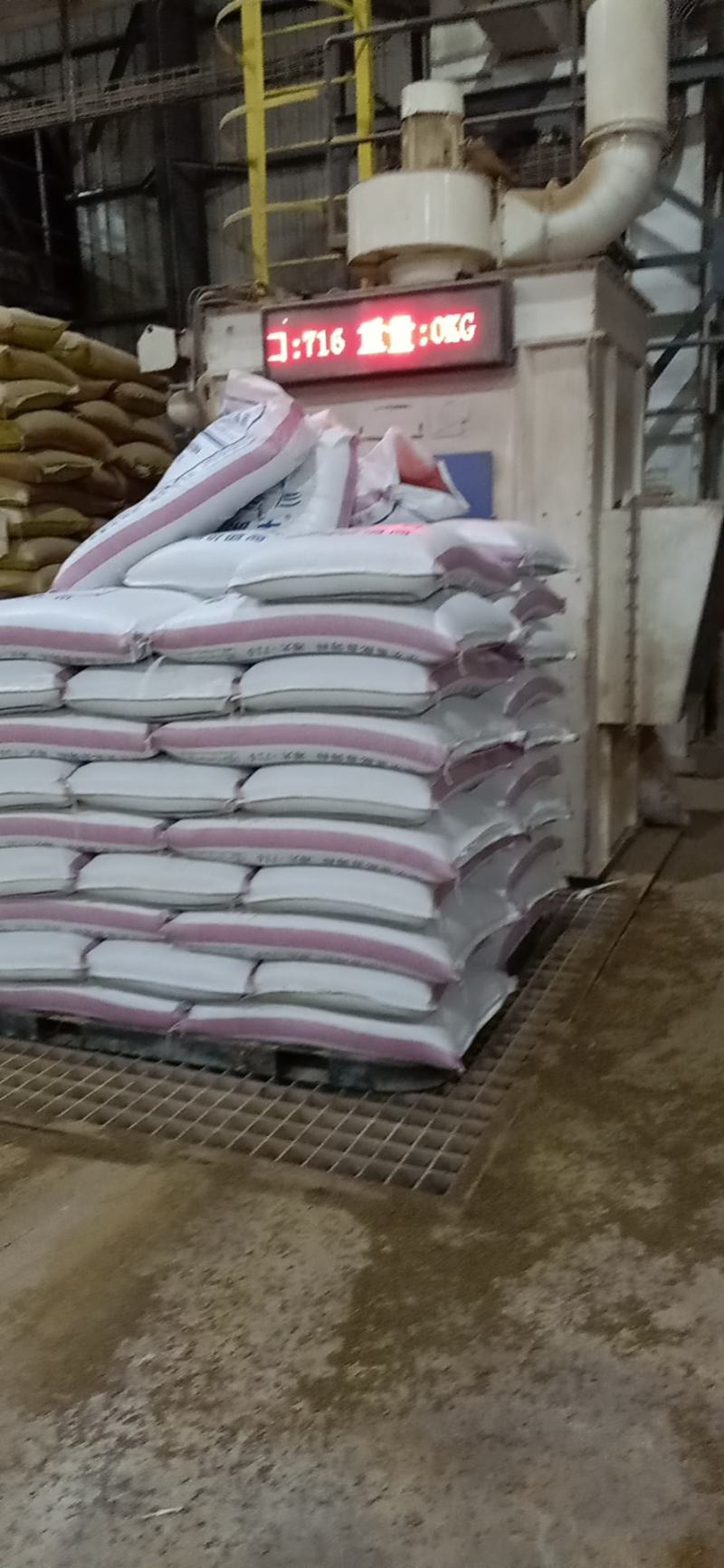 饲料