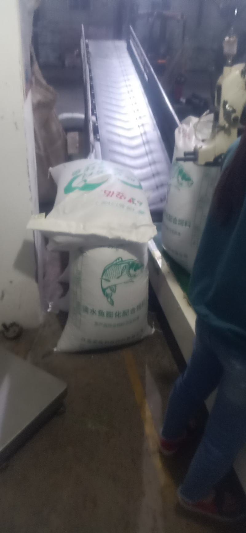 饲料