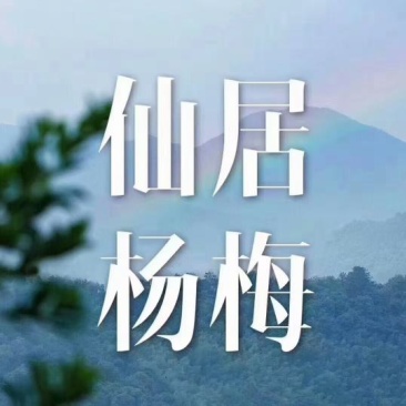 【正宗仙居东魁杨梅】新鲜时令应季孕妇水果浙江荸荠杨梅现摘