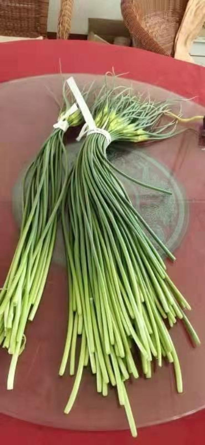 蒜薹.馆陶县.金磊果蔬.供应.冷库现货.优质杂交.红蒜薹