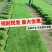 草坪小区景观草坪路面草坪操场路面草坪带泥土真草皮