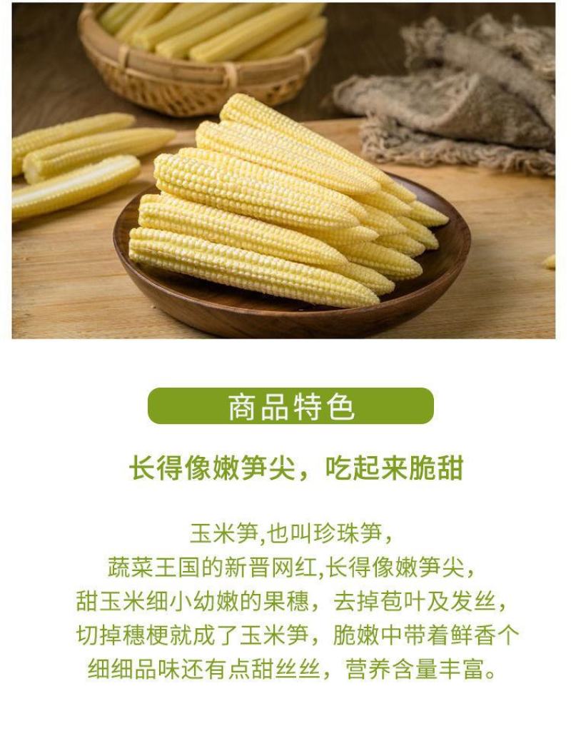 现摘新鲜水果玉米笋迷你小玉米芯手指嫩甜珍珠玉米荀即食包邮