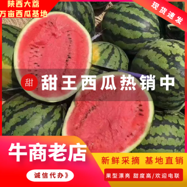 陕西西瓜甜王西瓜瓤红瓜甜保质保量运输对接各大商超市场