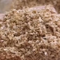 麸皮现货供应麸皮现货供应