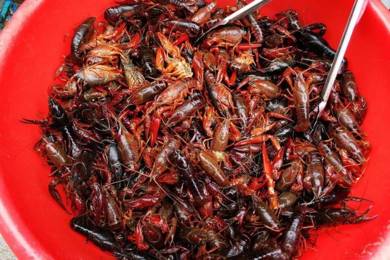 小龙虾大盘特写