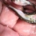 鲢鱼苗，快大良种鱼苗易养无病无伤。提供技术指导，欢迎订购