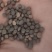 厂家直销建设豆小灰豆小黑豆做鸽粮